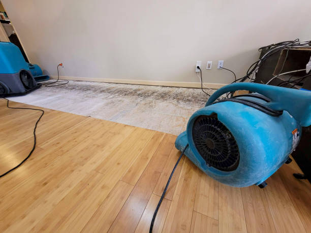 Professional Burst Pipe Water Damage technician working in Robstown, TX